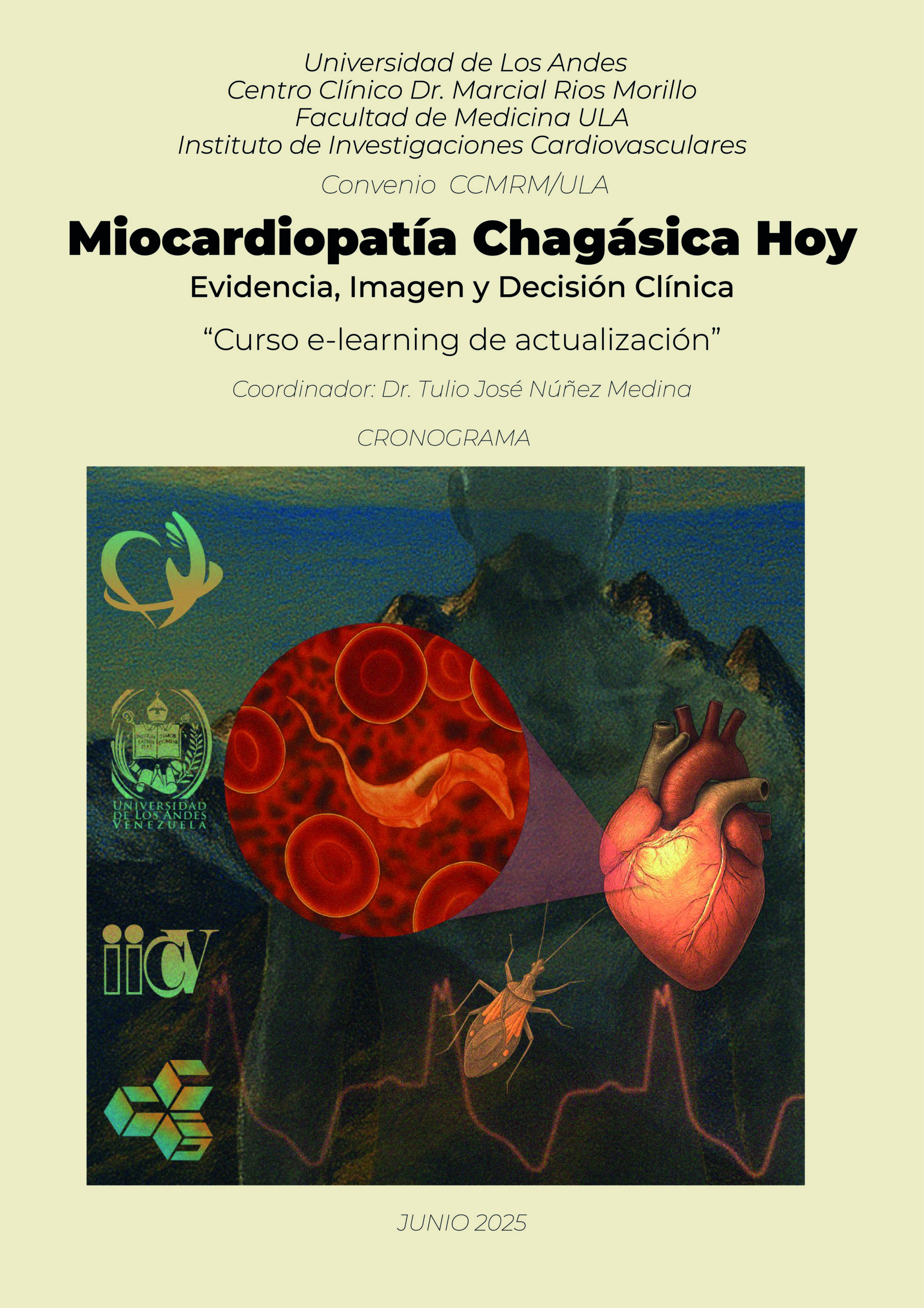 CRONOGRAMA CHAGAS_Mesa de trabajo 1_Mesa de trabajo 1