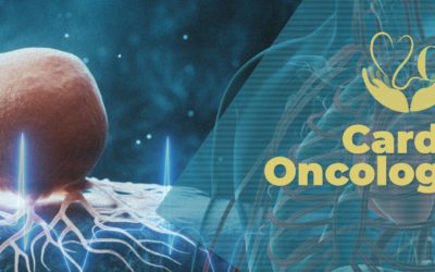 Evaluación del Riesgo de Cardiotoxicidad: Ciencia, Calidad y Prevención