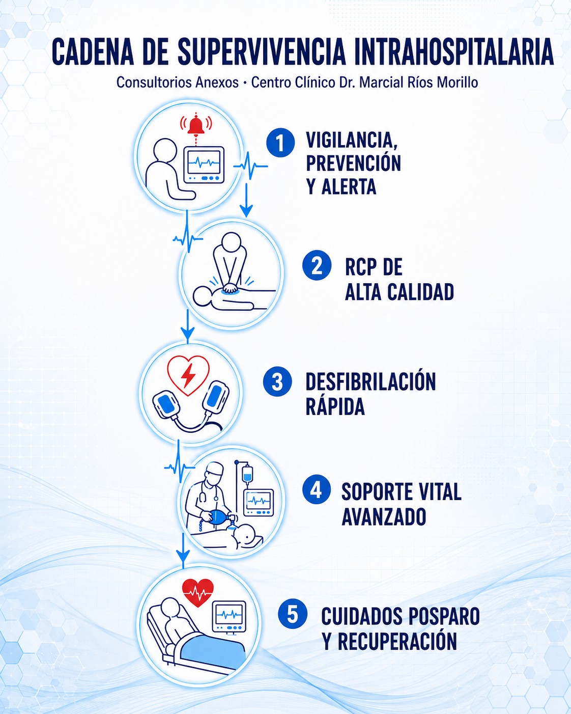 TALLER RCP21